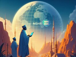 Navigating Niger's Digital Frontier: The Role of VPNs